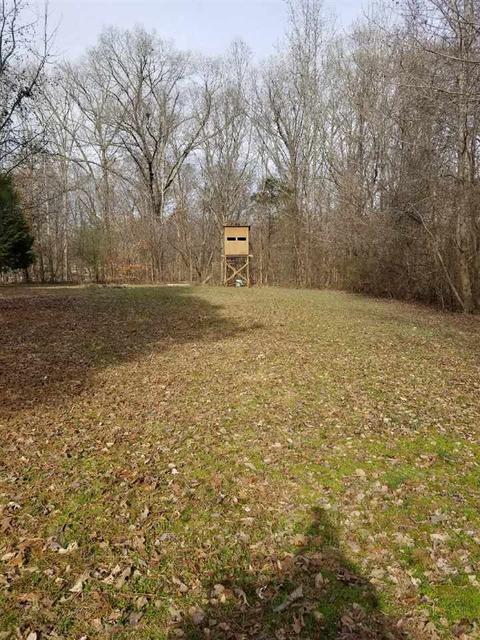 4730 Ebenezer Loop, Somerville, TN 38068 photo 2