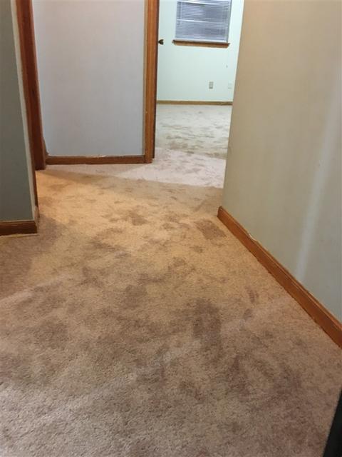 1524 E Raines Rd E, Memphis, TN 38116 photo 11