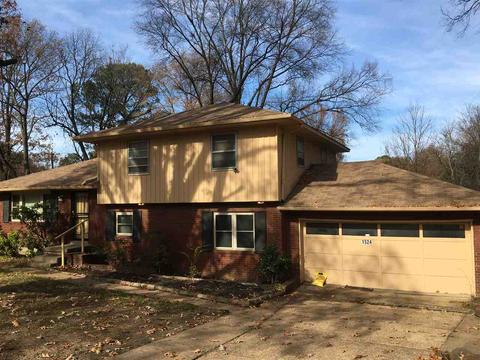 1524 E Raines Rd E, Memphis, TN 38116 photo 1