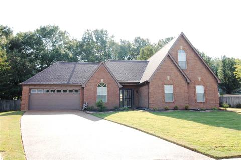 227 Wolf Ridge Cv, Collierville, TN 38017 photo 1