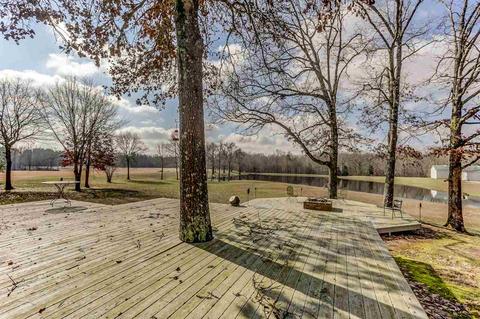 890 Pulliam Rd, Williston, TN 38076 photo 6