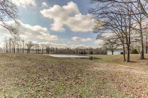 890 Pulliam Rd, Williston, TN 38076 photo 2