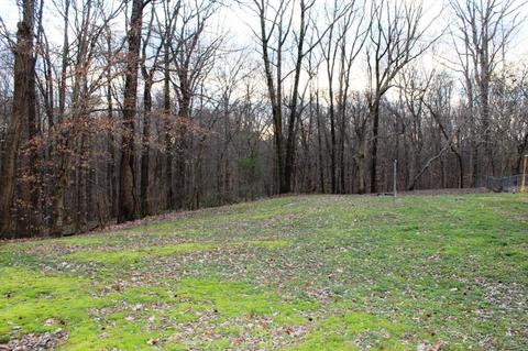 425 Pine Ln, Drummonds, TN 38023 photo 14