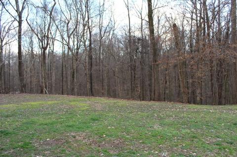 425 Pine Ln, Drummonds, TN 38023 photo 13