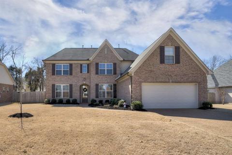 7891 Pips Ridge Ln, Bartlett, TN 38133 photo 1