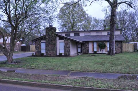 7212 Lamesa St, Bartlett, TN 38133 photo 1
