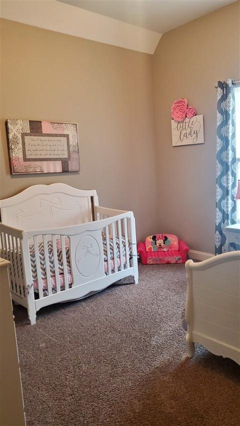 8497 Butterfly View Ln, Bartlett, TN 38133 photo 16