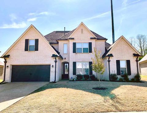 8497 Butterfly View Ln, Bartlett, TN 38133 photo 1