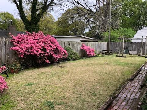 4801 Dee Rd, Memphis, TN 38117 photo 23