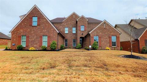 8788 Mt Hill Dr, Arlington, TN 38002 photo 1