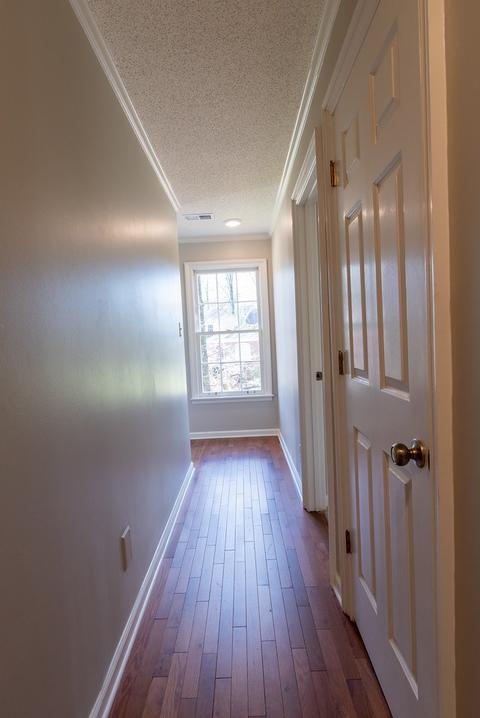 774 S Tree Dr, Collierville, TN 38017 photo 13