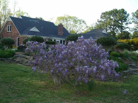 4830 Fleming Rd, Collierville, TN 38017 photo 24