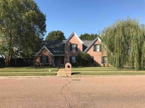 376 Silver Wolf Dr, Collierville, TN 38017 photo 20