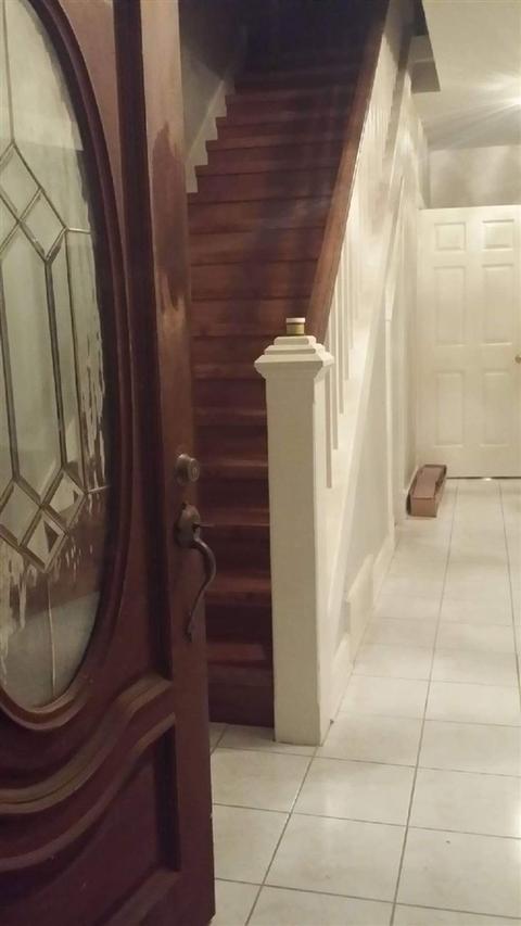 947 Solo Rd, Covington, TN 38019 photo 17