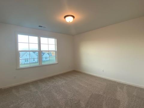 40 Burrow Dr, Piperton, TN 38017 photo 15