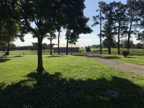 873 Solo Rd, Covington, TN 38019 photo 11