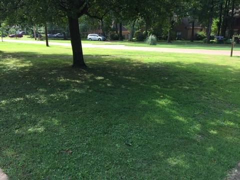 7036 Seventh Rd, Bartlett, TN 38135 photo 23
