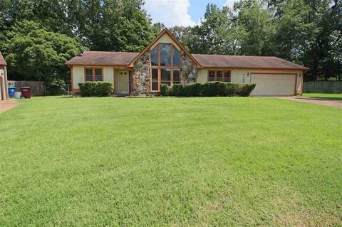 4452 Window Dr, Memphis, TN 38135 photo 5