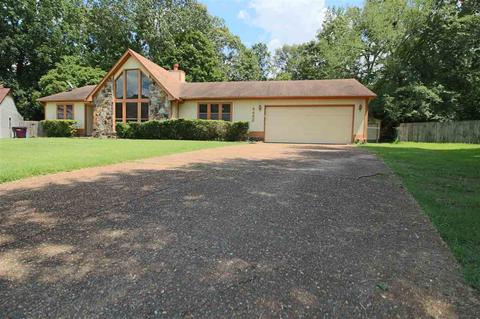 4452 Window Dr, Memphis, TN 38135 photo 1
