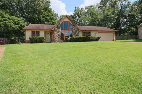 4452 Window Dr, Memphis, TN 38135 photo 2