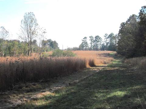 3551 Lucius Taylor Rd, Como, MS 38619 photo 10