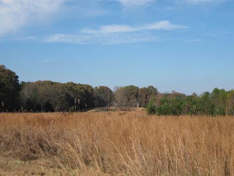 3551 Lucius Taylor Rd, Como, MS 38619 photo 9