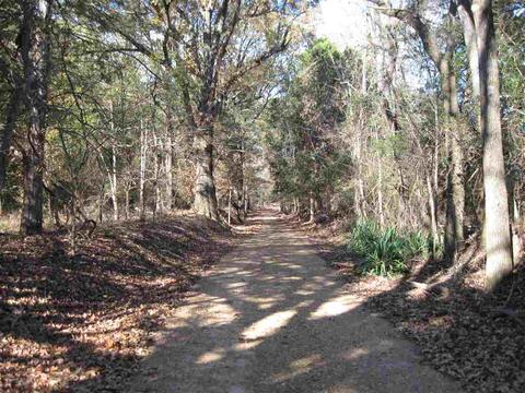 3551 Lucius Taylor Rd, Como, MS 38619 photo 11
