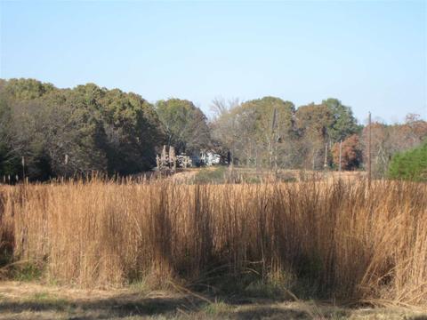 3551 Lucius Taylor Rd, Como, MS 38619 photo 2