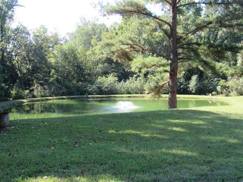 1552 Mcwilliams Rd, Covington, TN 38019 photo 7