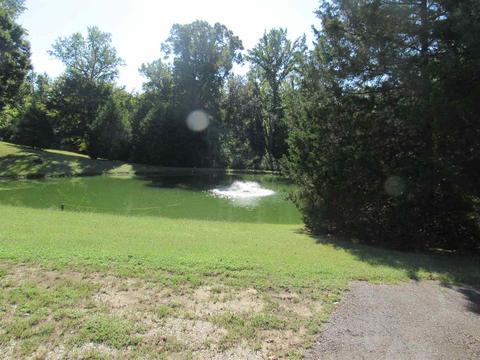 1552 Mcwilliams Rd, Covington, TN 38019 photo 5