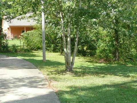 7138 Allison Rd, Olive Branch, MS 38654 photo 5