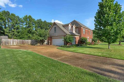 876 Rolling Oaks Ln, Collierville, TN 38017 photo 4