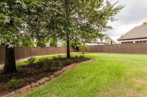 481 Cassidy Ln, Collierville, TN 38017 photo 24