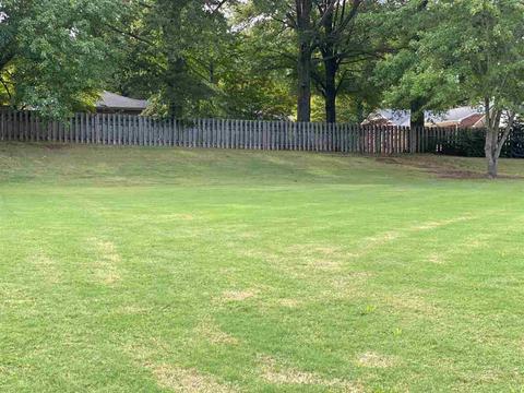 809 Wilcox Ave, Covington, TN 38019 photo 3