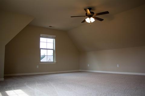 4974 Grace View Ln, Bartlett, TN 38135 photo 19