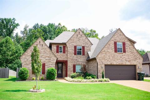 4974 Grace View Ln, Bartlett, TN 38135 photo 1