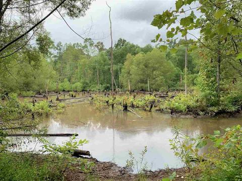 159 Willoughby Loop Rd, Pinson, TN 38366 photo 25