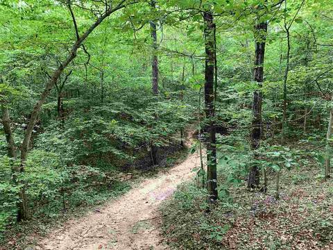 159 Willoughby Loop Rd, Pinson, TN 38366 photo 24