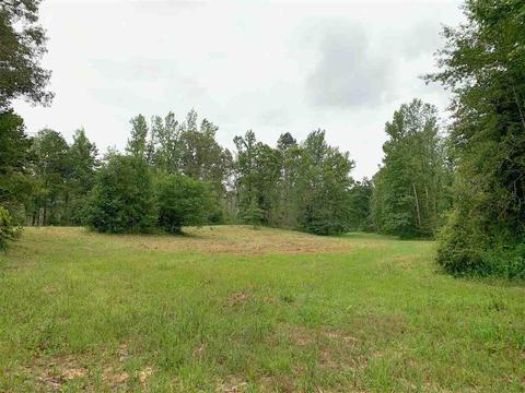 159 Willoughby Loop Rd, Pinson, TN 38366 photo 23