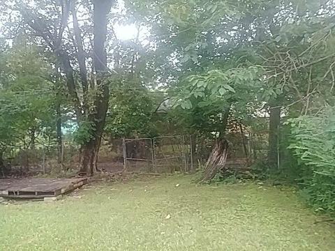 56 E Frank Ave, Memphis, TN 38109 photo 4