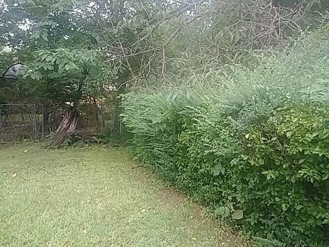 56 E Frank Ave, Memphis, TN 38109 photo 3