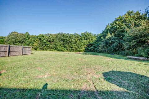 2512 Dolan Rd, Drummonds, TN 38023 photo 24
