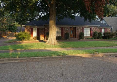 3724 Oak Bark Ln, Bartlett, TN 38135 photo 1