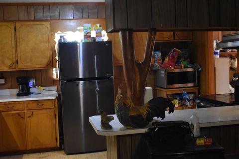 2928 Guys Chewalla Rd, Ramer, TN 38367 photo 6