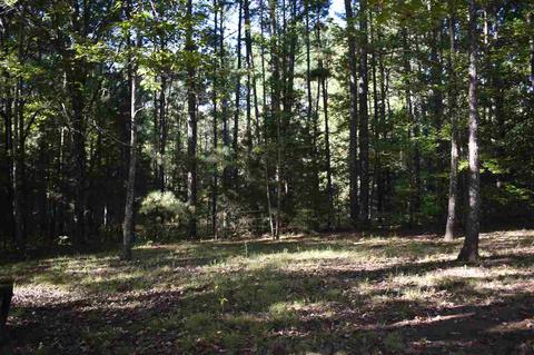 2928 Guys Chewalla Rd, Ramer, TN 38367 photo 19