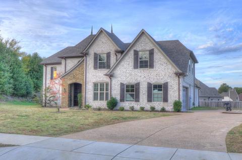 8604 Wolf Trace Ln, Bartlett, TN 38133 photo 1