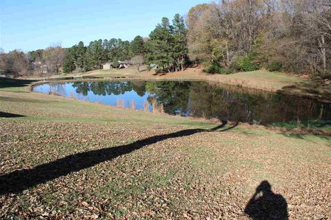 78 Reed Cir, Drummonds, TN 38023 photo 7