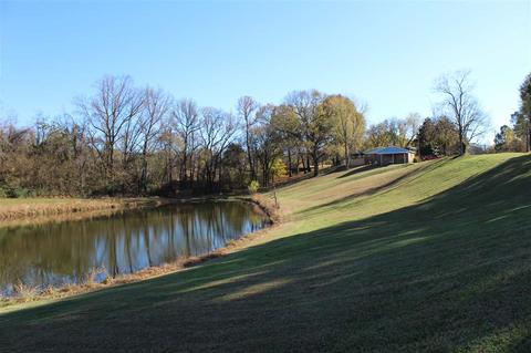 78 Reed Cir, Drummonds, TN 38023 photo 2