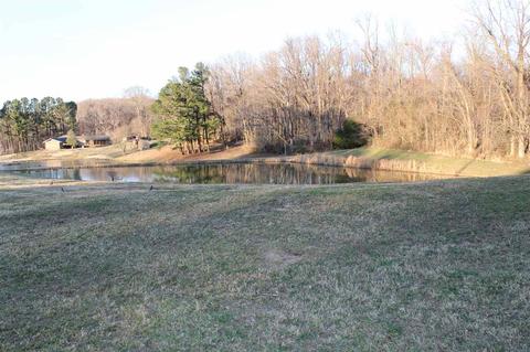 78 Reed Cir, Drummonds, TN 38023 photo 6