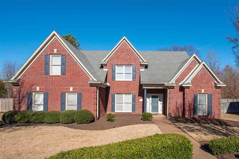 538 Johnash Ct, Collierville, TN 38017 photo 1